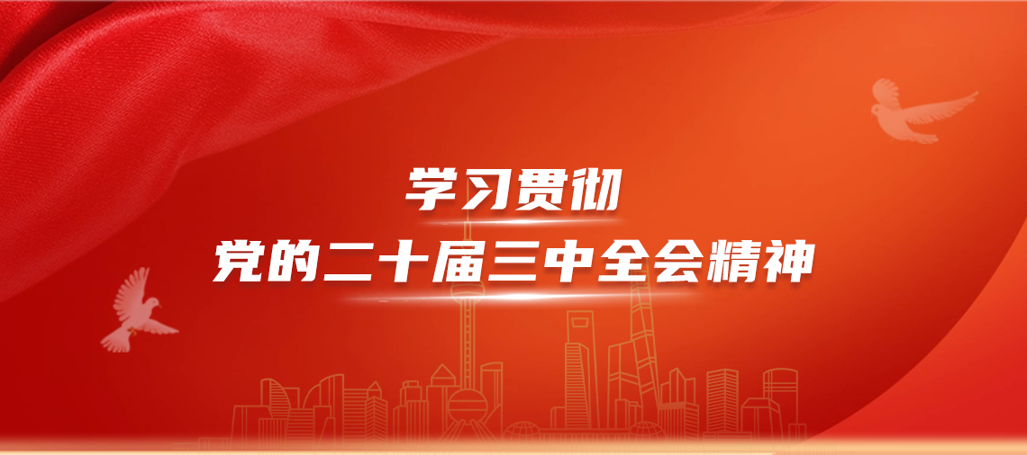 學習貫徹黨的二十屆三中全會精神